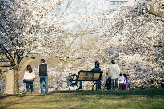 Art: A Tapestry of Multiple Stories and Diverse Perspectives